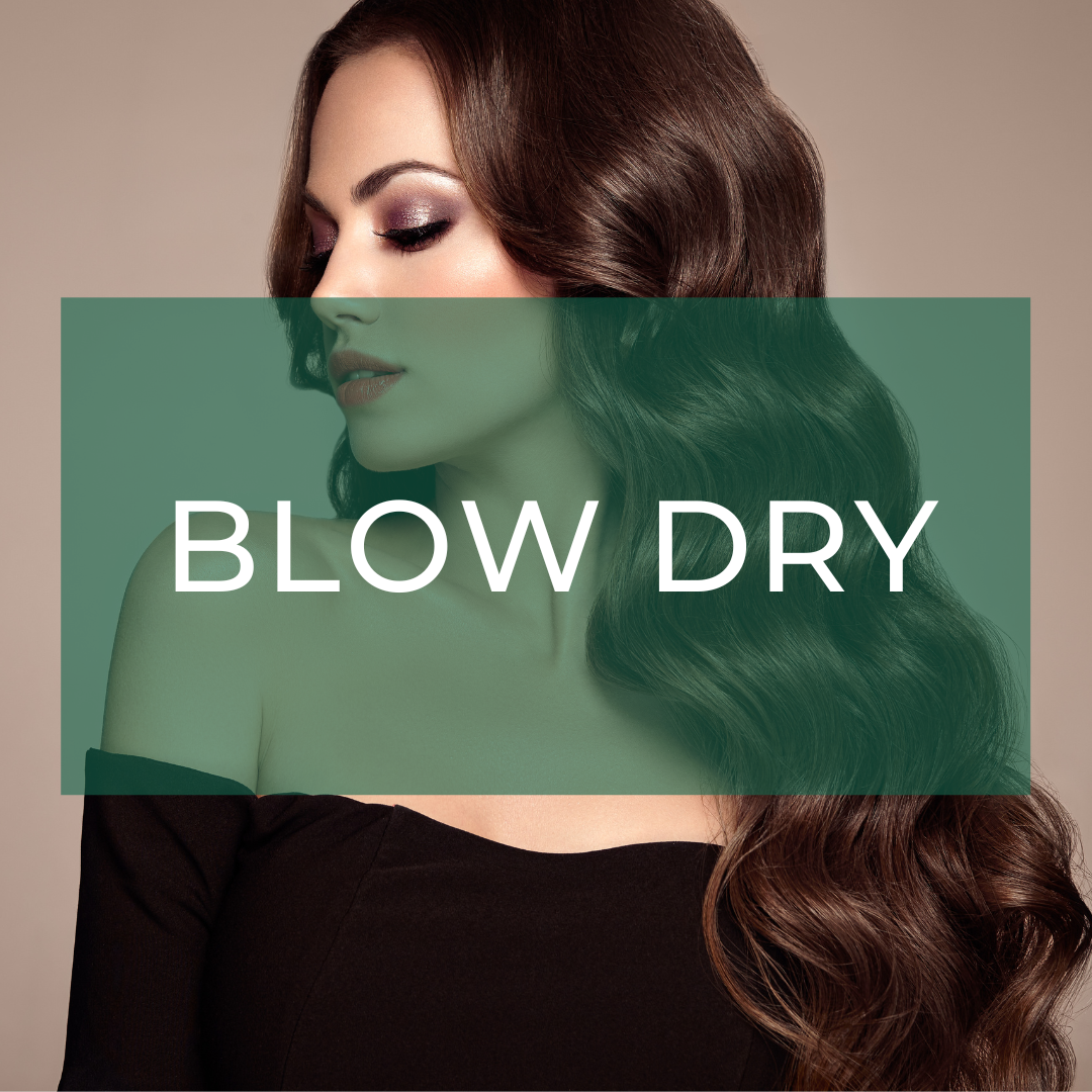 Best Blow dry at Elysium Hair Brisbane