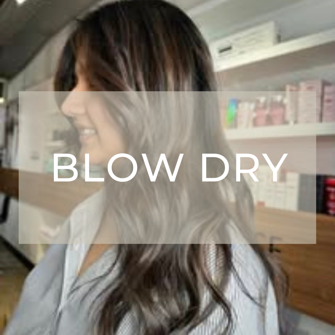 Best Blow dry at Elysium Hair Brisbane